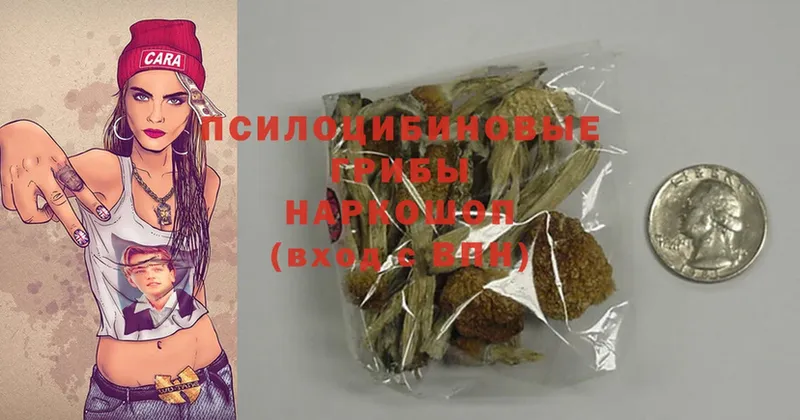 Галлюциногенные грибы MAGIC MUSHROOMS  Мегион 